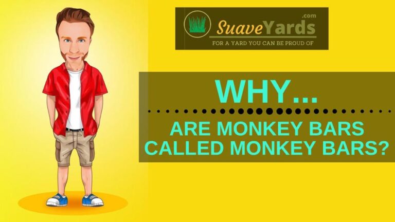 why-are-monkey-bars-called-monkey-bars-explained